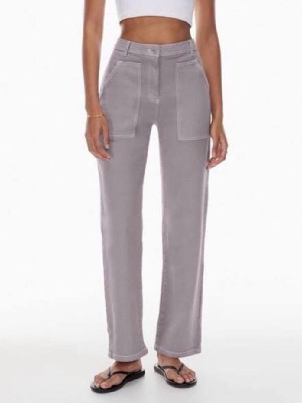 Aritzia Wilfred Free Modern Utility Pant in Purple Slate